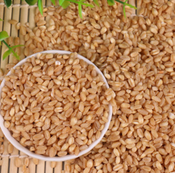 麦仁批发 进口脱皮小麦 食品厂小麦粉原料原粮